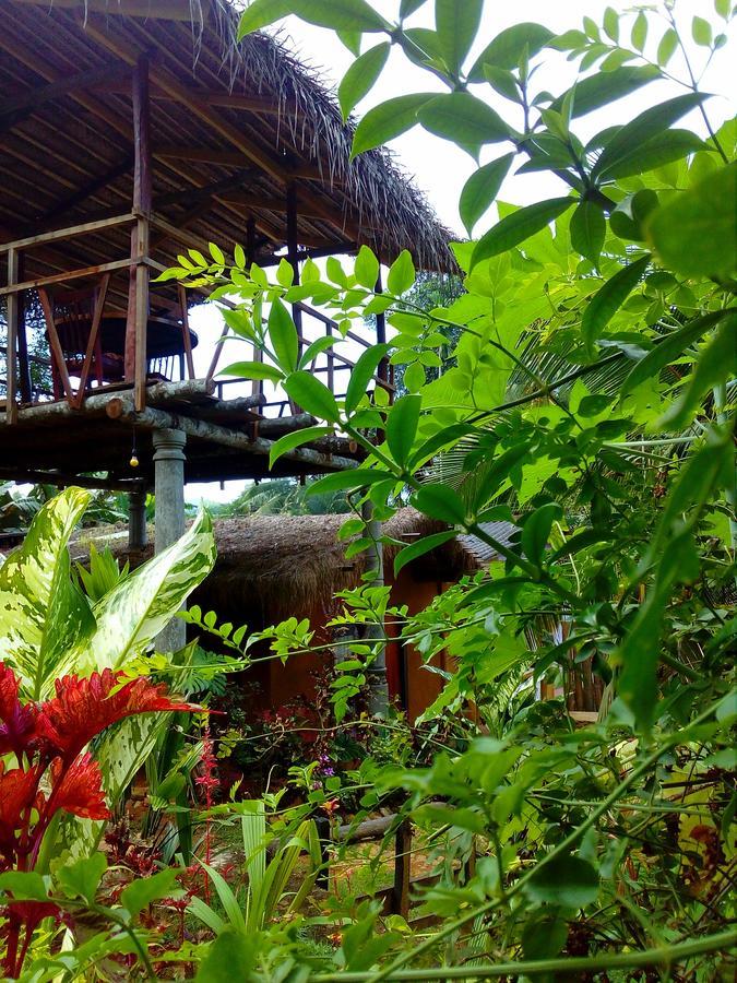 Ancient Gardens Villa Pinnawala  Esterno foto